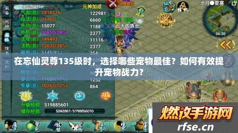 在忘仙灵尊135级时-选择哪些宠物最佳-如何有效提升宠物战力