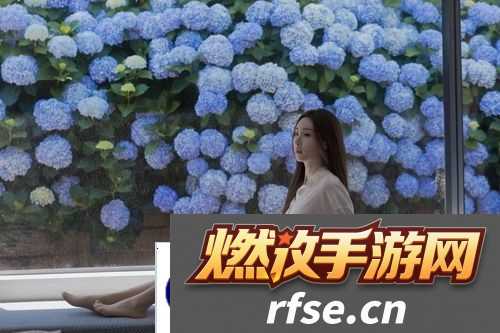 免费的行情网站www下载大全|让你轻松掌握市场动态,随时随地获取最新信息!