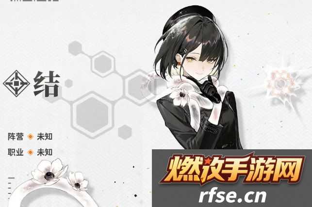 新月同行结值得抽吗-新月同行结抽取建议