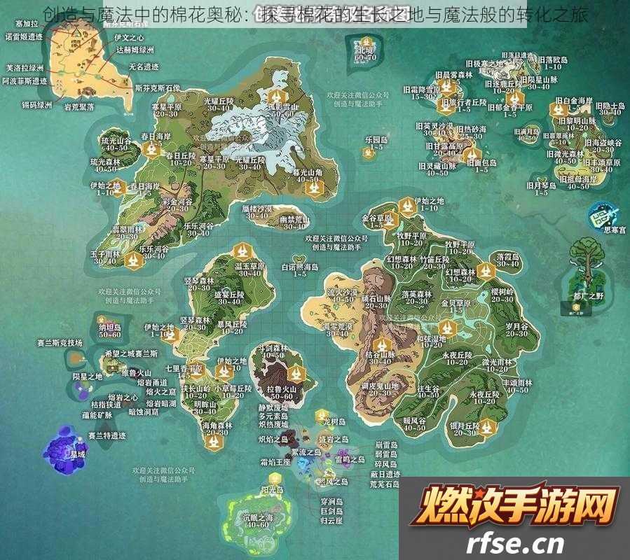 创造与魔法中的棉花奥秘|探寻棉花的生长之地与魔法般的转化之旅