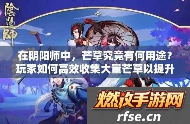 在阴阳师中-芒草究竟有何用途-玩家如何高效收集大量芒草以提升游戏体验